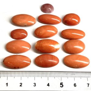 本珊瑚13点おまとめ 100ct