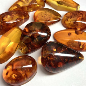 琥珀10点おまとめ 200ct