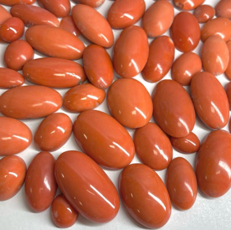 天然本珊瑚72点おまとめ　500ct