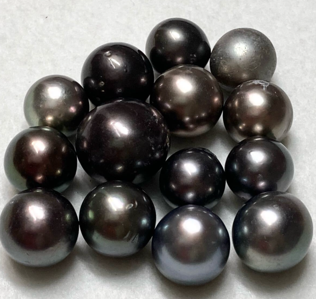 南洋黒蝶真珠おまとめ155.5ct　